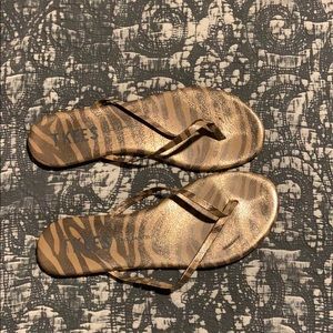 Used but still have a lot of life left.